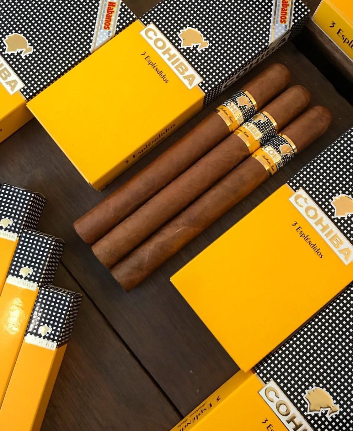Cohiba 潘趣斯