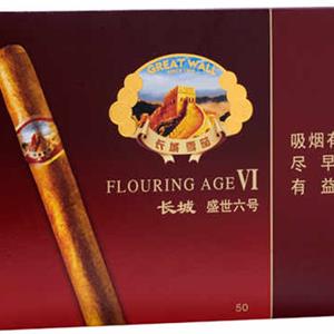 深度解读Great Wall 长城盛世 6 号