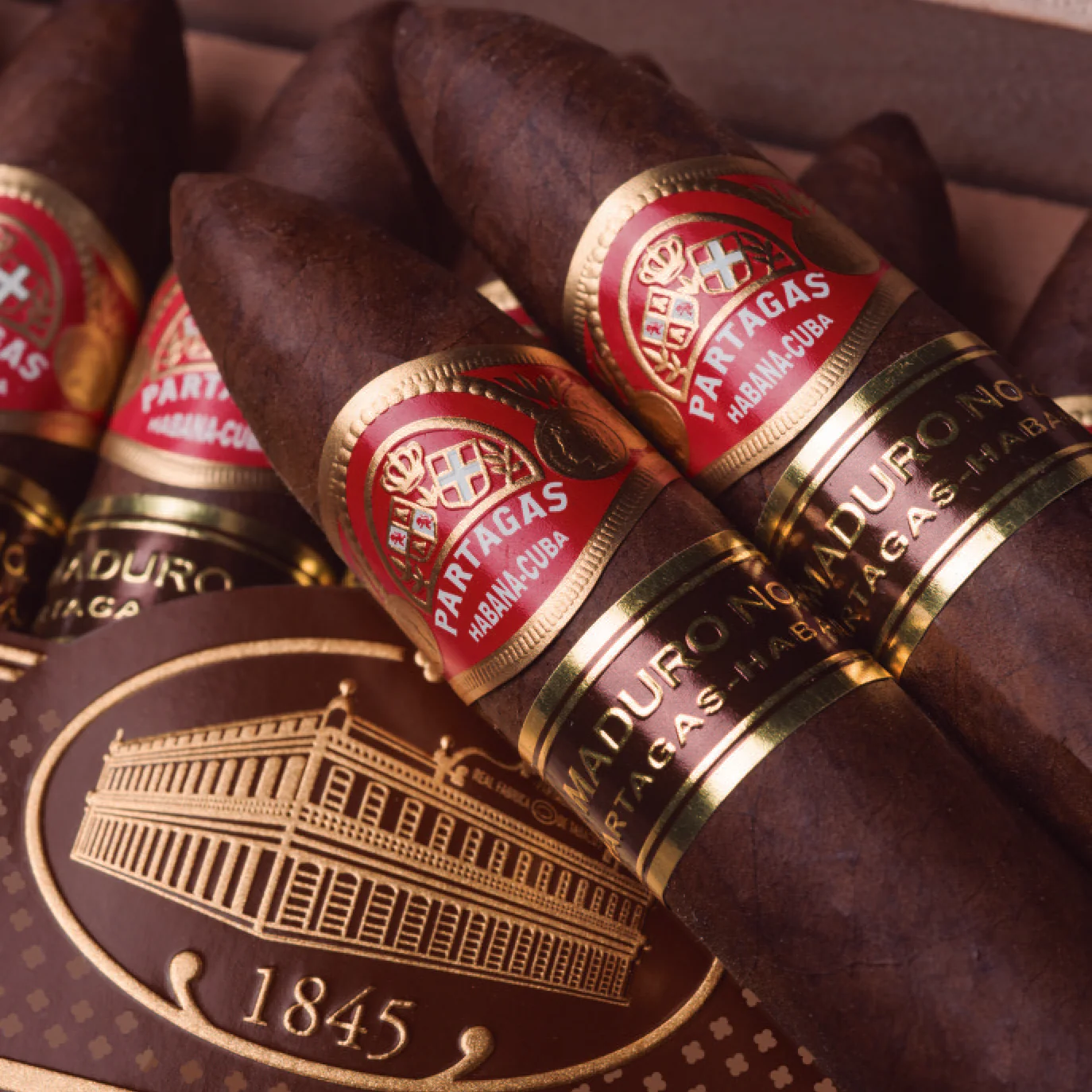 Partagas Maduro No. 2 Sigaro - Sigari EGM
