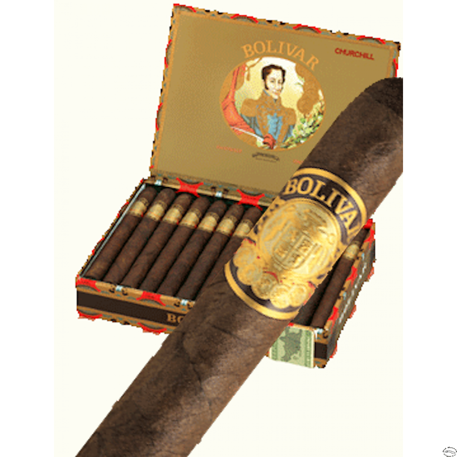 深度解读Bolívar Tubos 玻利瓦尔铝管装