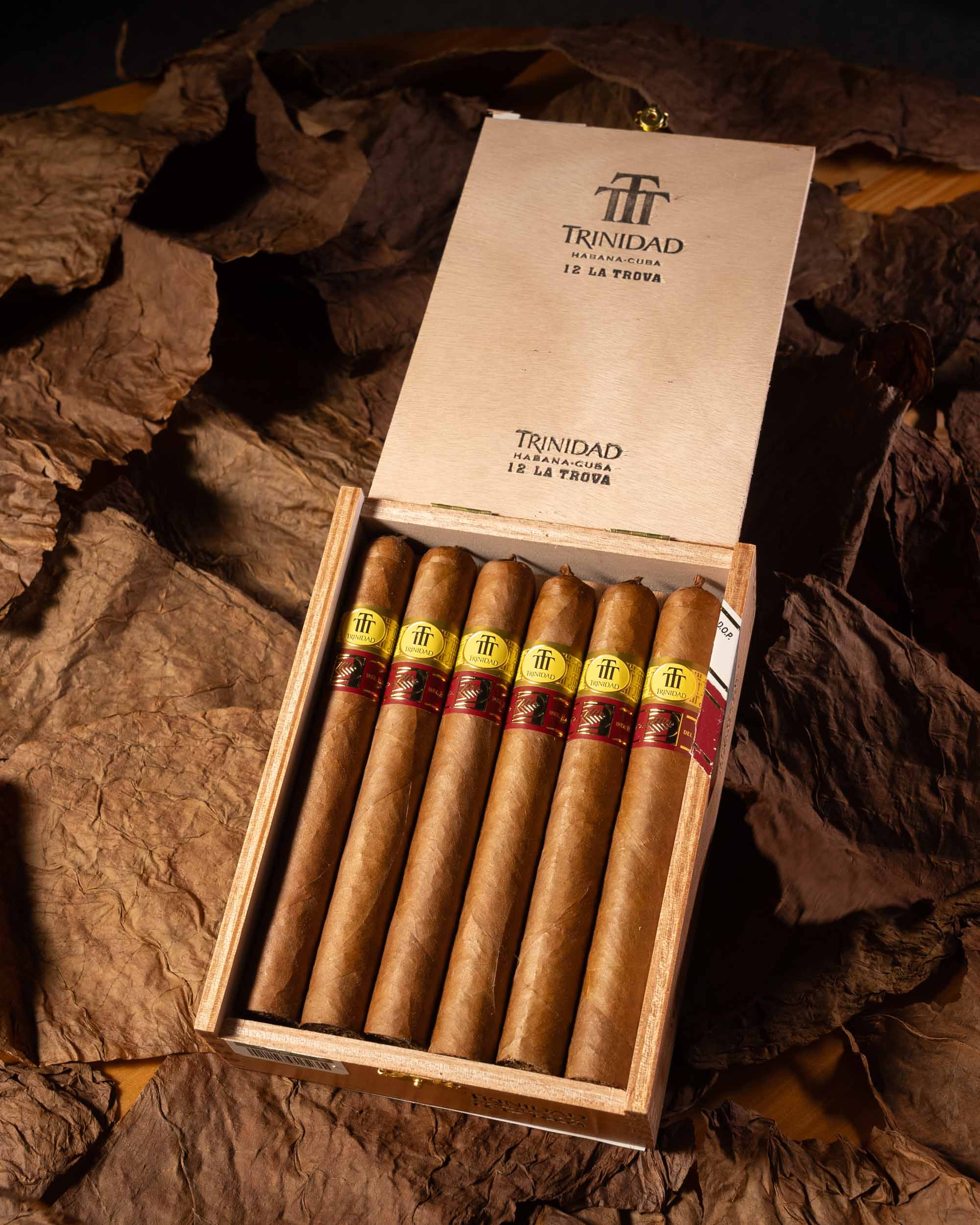 Trinidad La Trova 特立尼达特洛华