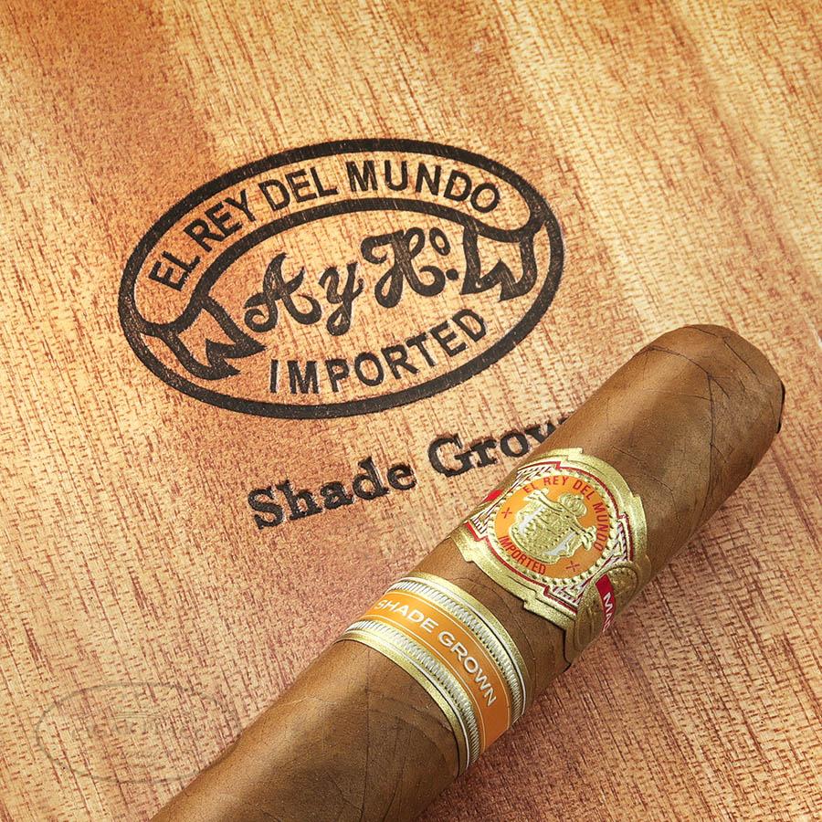 El Rey Del Mundo Shade Grown Robusto Cigars Cigarplace.com