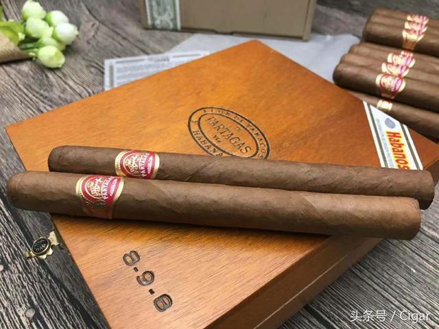 深度解读我的父亲2026年推出雪茄品鉴套装
