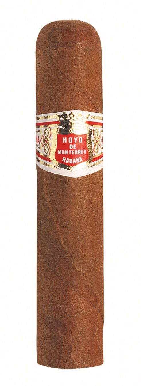 Hoyo de Monterrey Petit Robusto