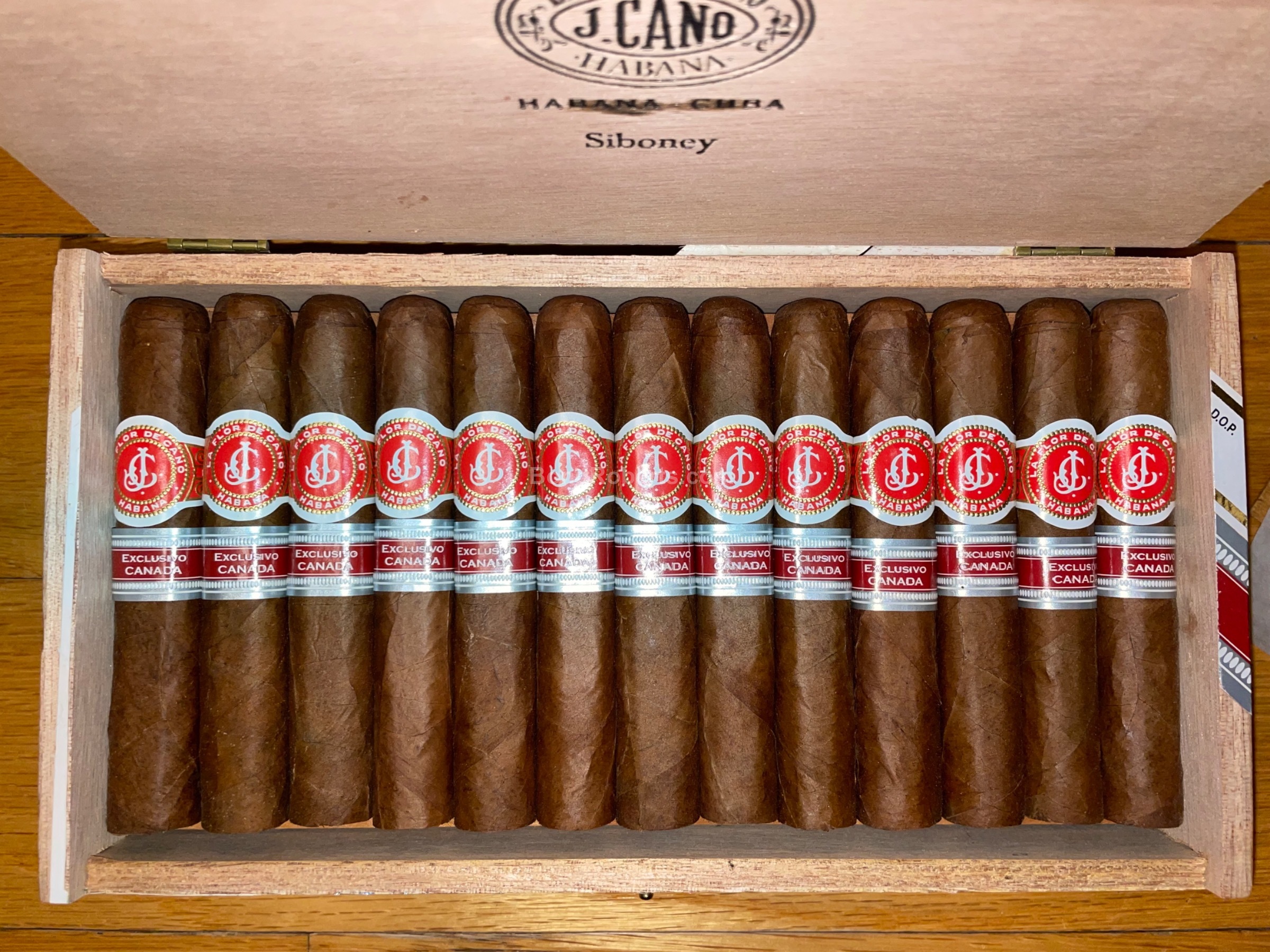 La Flor de Cano Siboney 拉弗洛尔卡诺 西波内（2015年加拿大地区版）