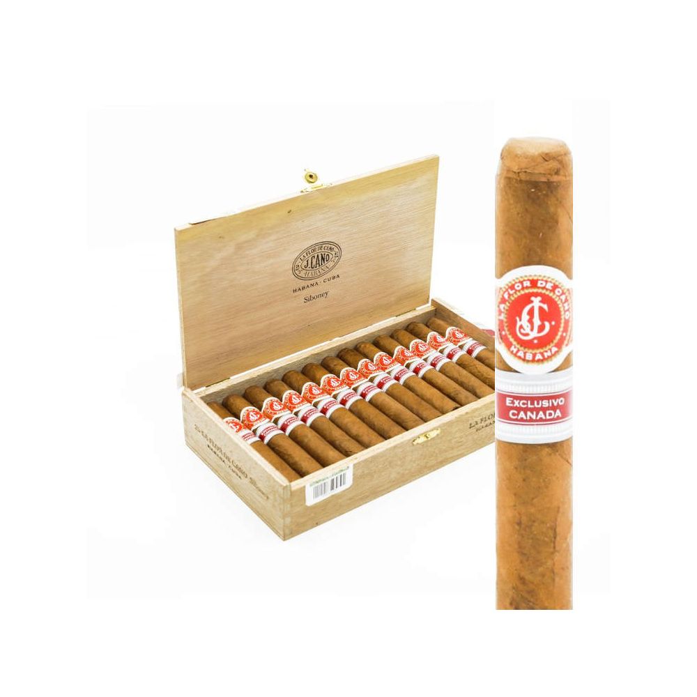La Flor De Cano Siboney RE Canada 2015