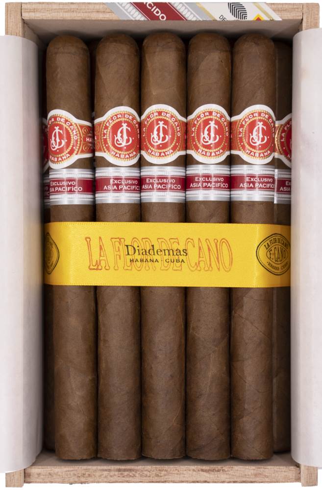 La Flor de Cano Diademas 拉弗洛尔卡诺 大地（2026持续供应）