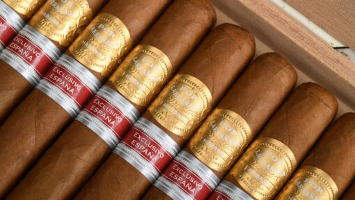 Por Larrañaga Leones Edición Regional Espana (Box of 10) - Prestige ...