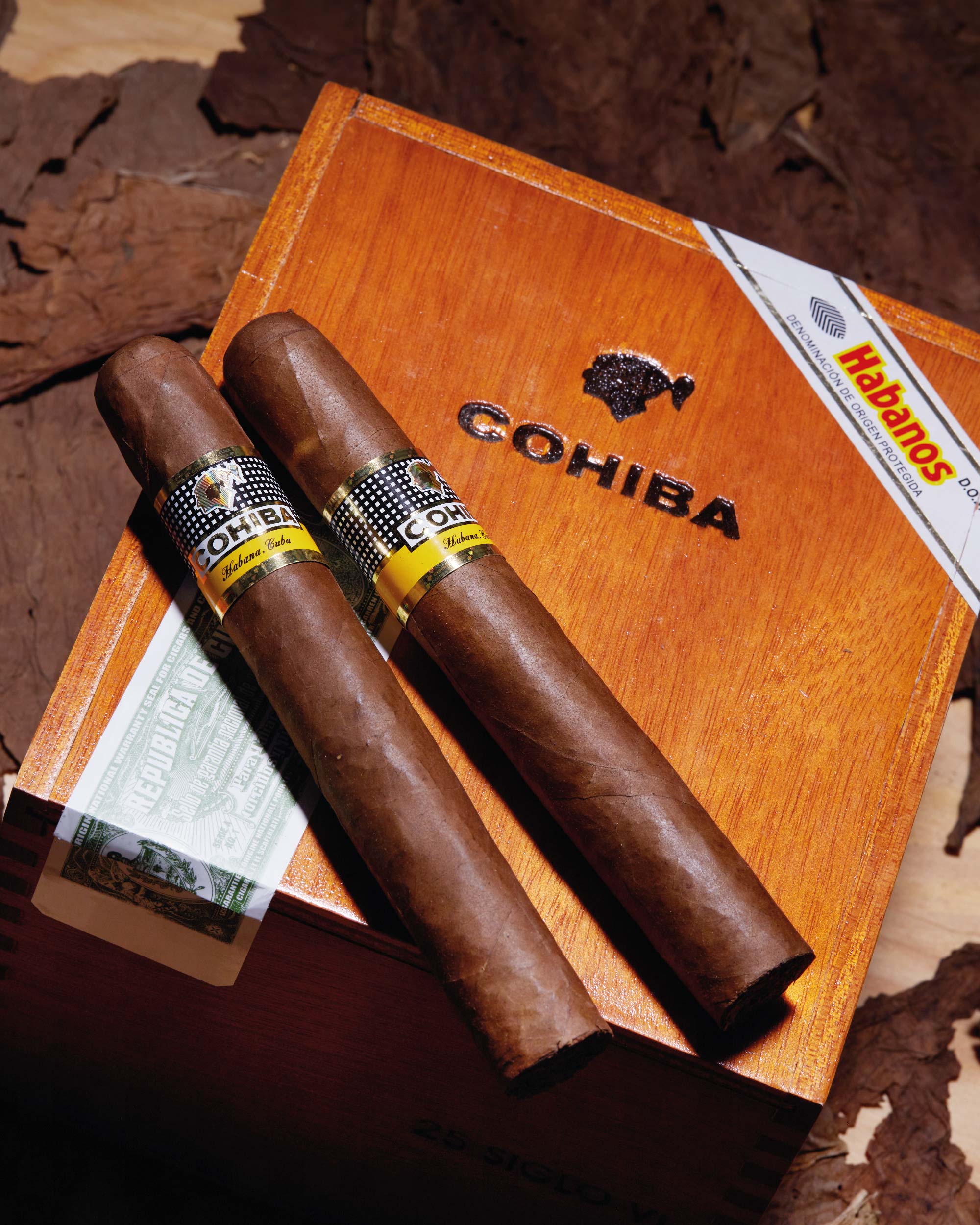 Cohiba Siglo VI (2020) - Aged Cuban Cigar | nextCIGAR