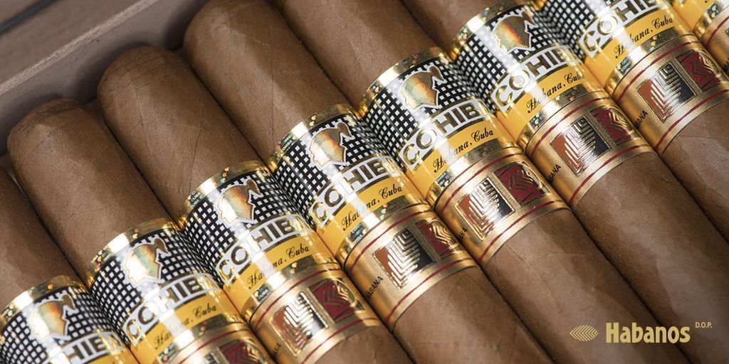 Cigar News: Cohiba Novedosos Announced as LCDH/Habanos Specialist ...