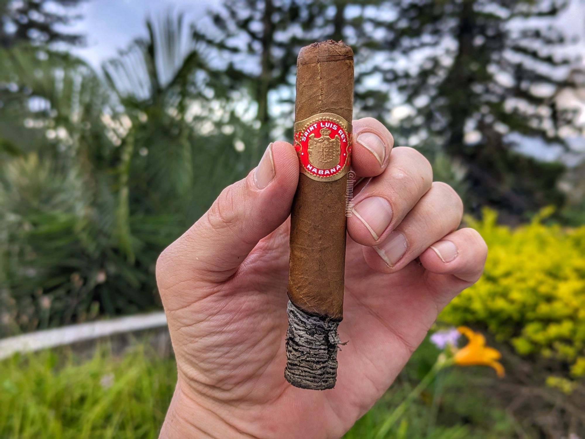 Saint Luis Rey 圣路易斯·雷伊富豪 雪茄资料