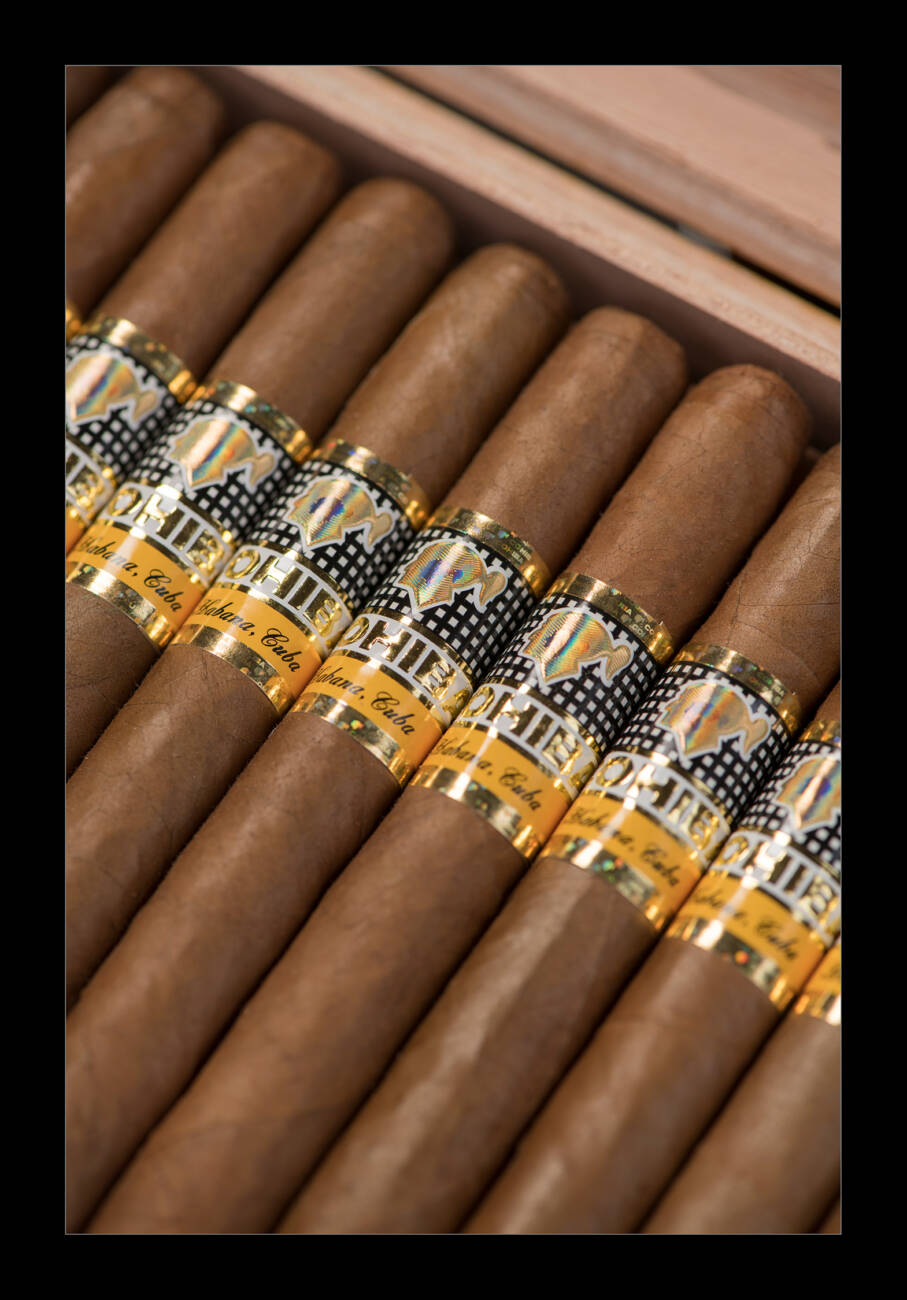 Cohiba Robustos 高希霸罗布图