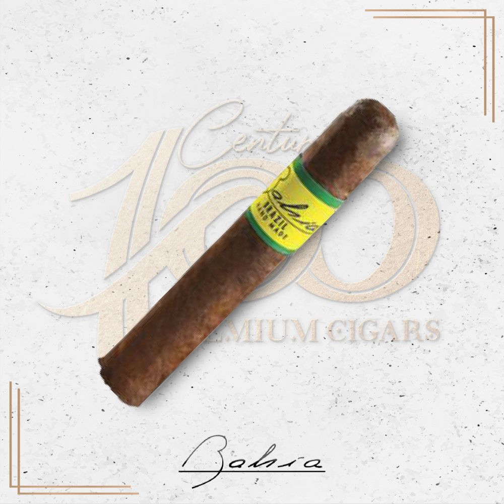 Bahia Brazil Toro 巴西公牛