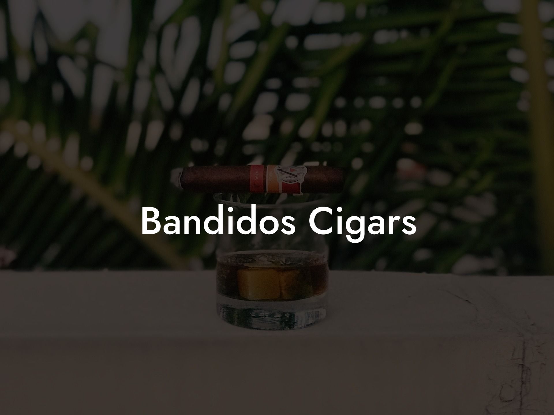 深度解读# Bandidos（匪徒）
