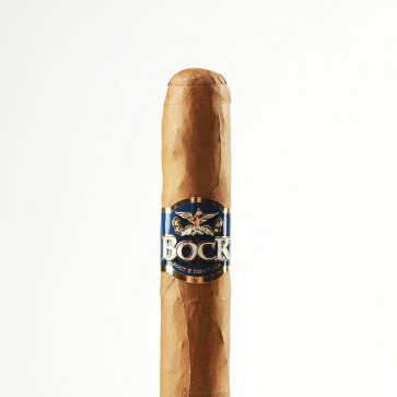 深度解读BOCK Corona