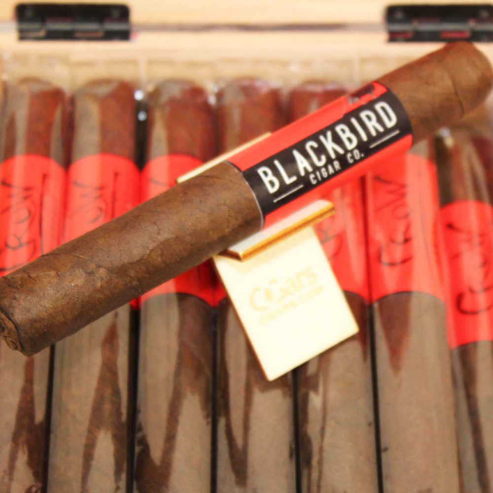 Blackbird Cuco Gran Toro