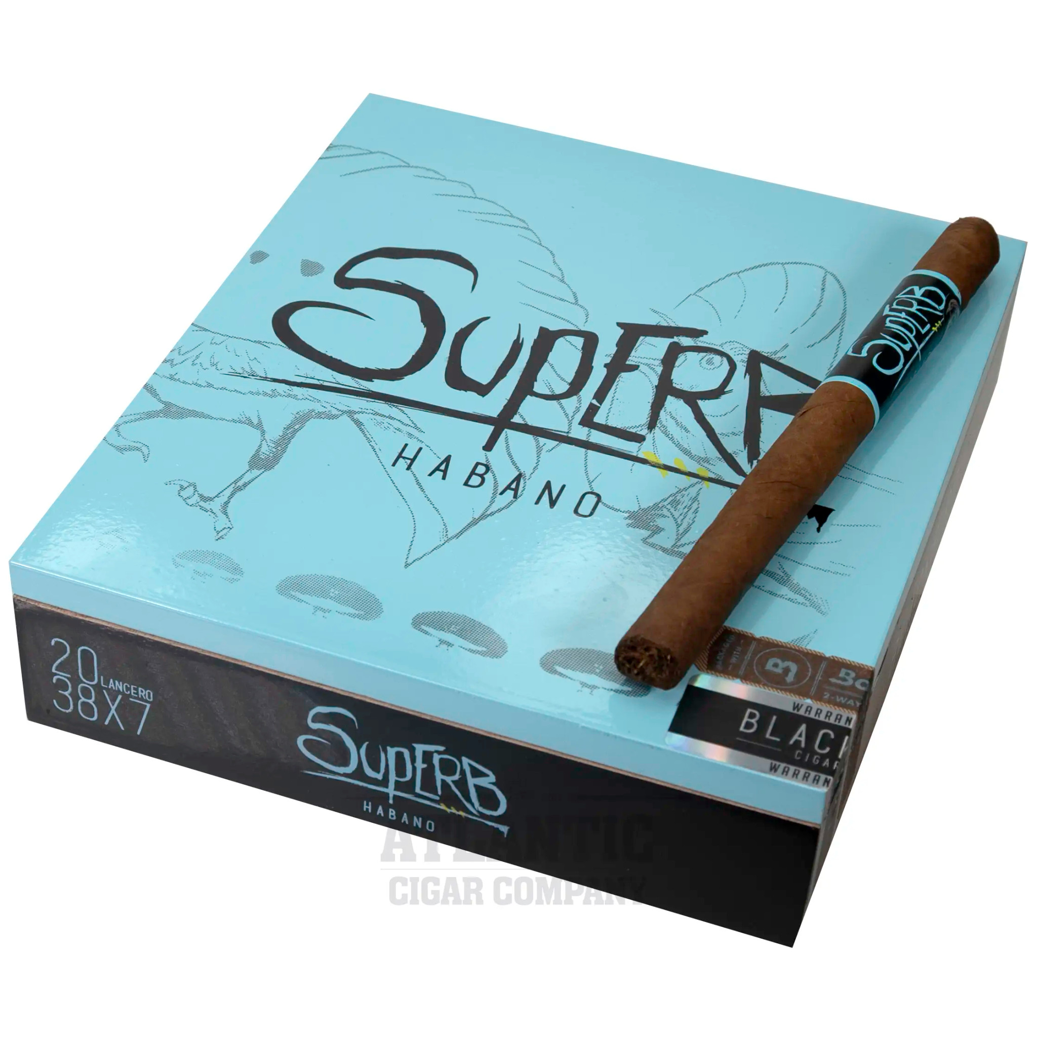 Blackbird Superb Lancero