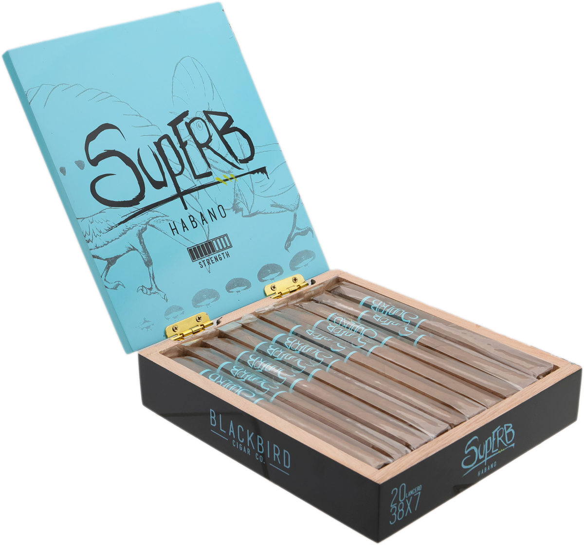 Blackbird Superb Lancero