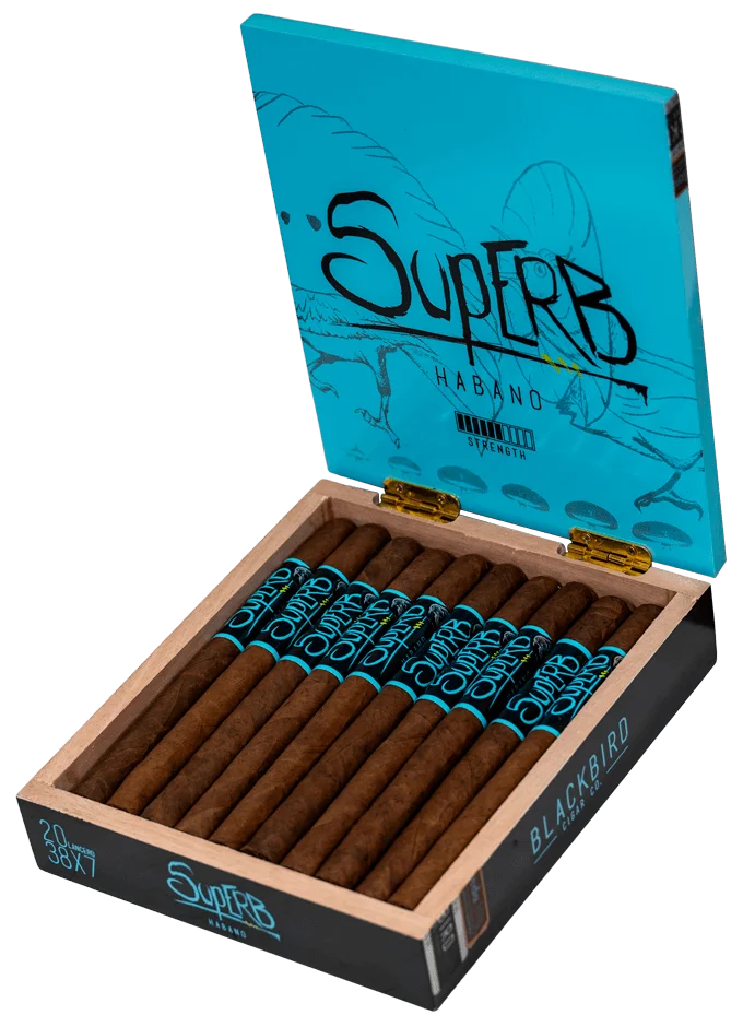 Blackbird Superb Lancero