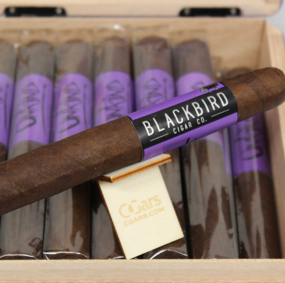 Blackbird Unkind Gran Toro