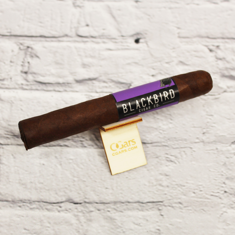 Blackbird Unkind Gran Toro