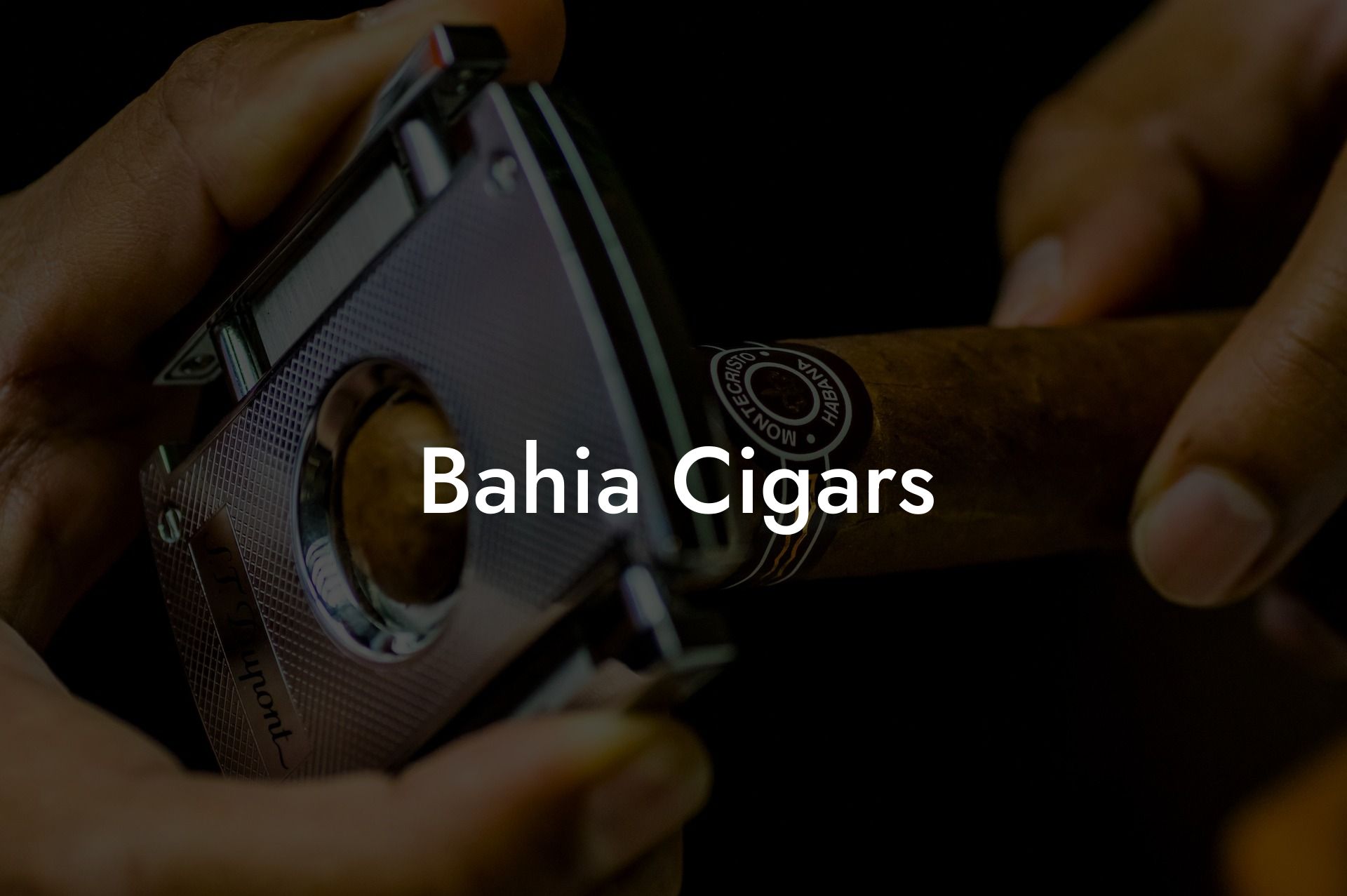 Bahia Cigars - Swinger Cigar | Cigar Lifestyle