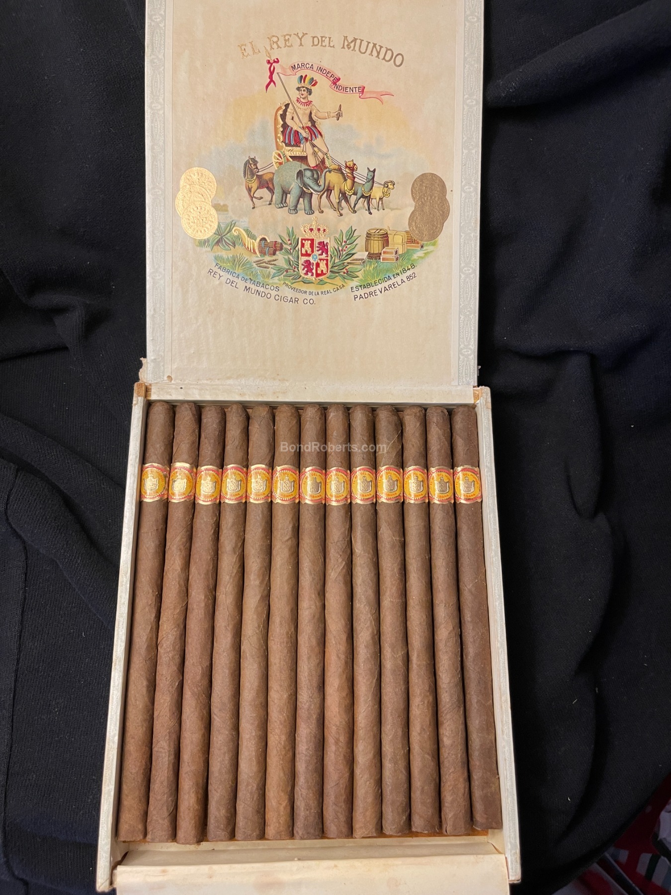 El Rey del Mundo Elegantes 世界之王雅致款