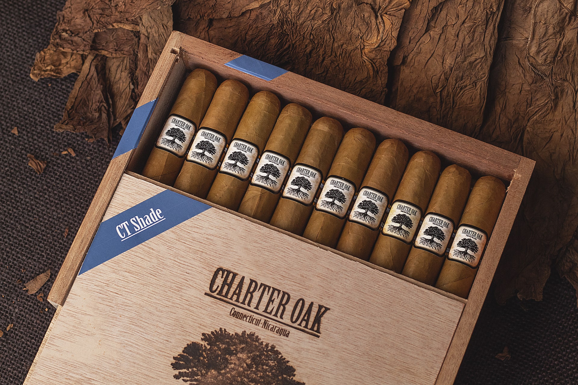 Charter Oak 特许橡树 CT 荫罩 雪茄资料