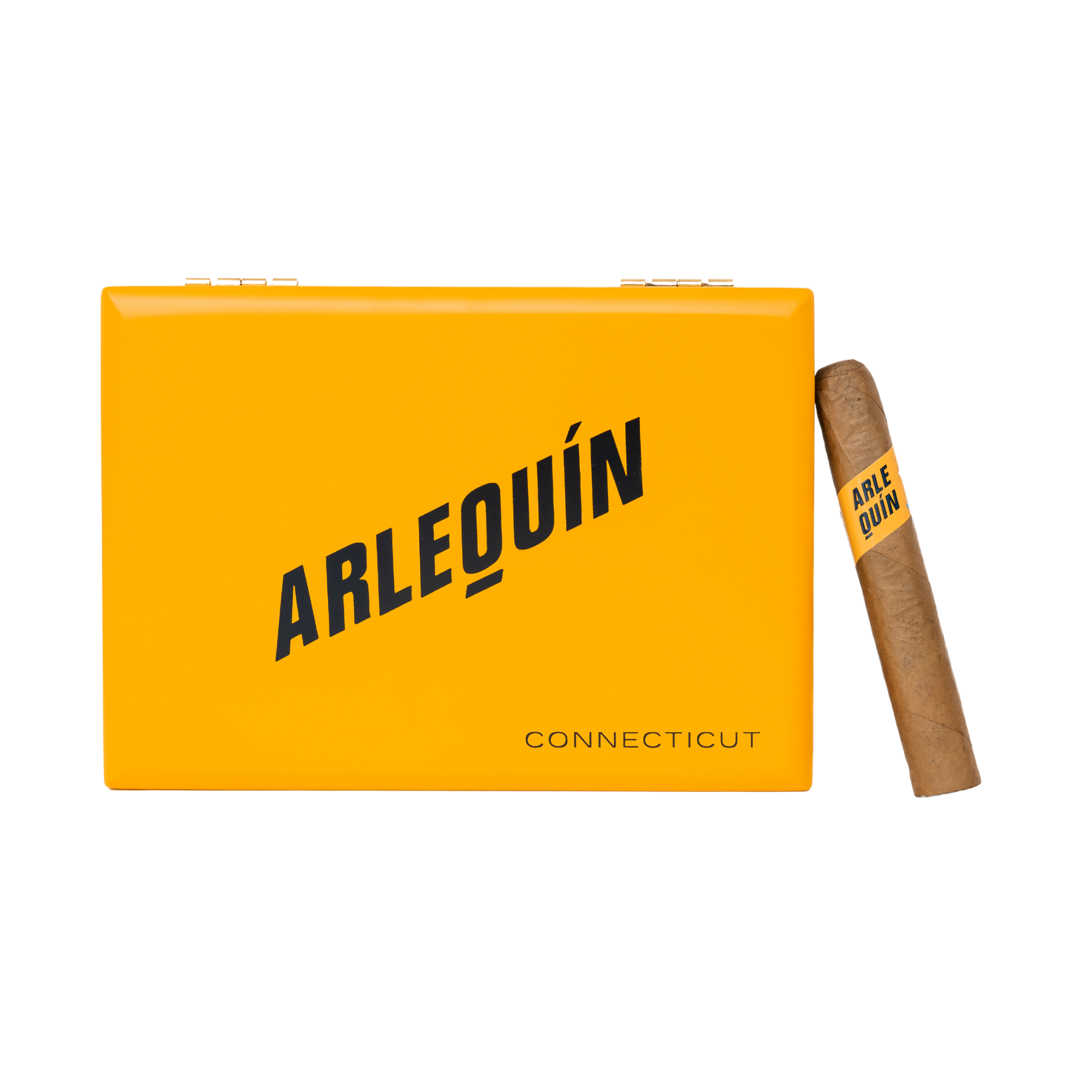 Fratello Arlequin Connecticut