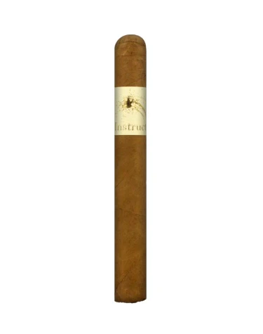 La Instructora - Delicado - 6 x 50 Toro - The Leaf Affair Cigar Shop